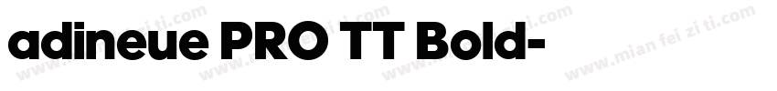adineue PRO TT Bold字体转换